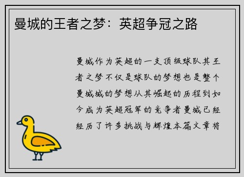 曼城的王者之梦：英超争冠之路